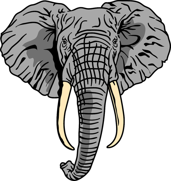Elephant team mascot color vinyl sports decal. Make it your own! Elephant 1